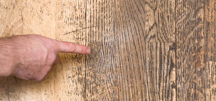 Wood Door Scratch Repair in Lindsay